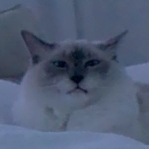 Meet your Posher, Caitlin